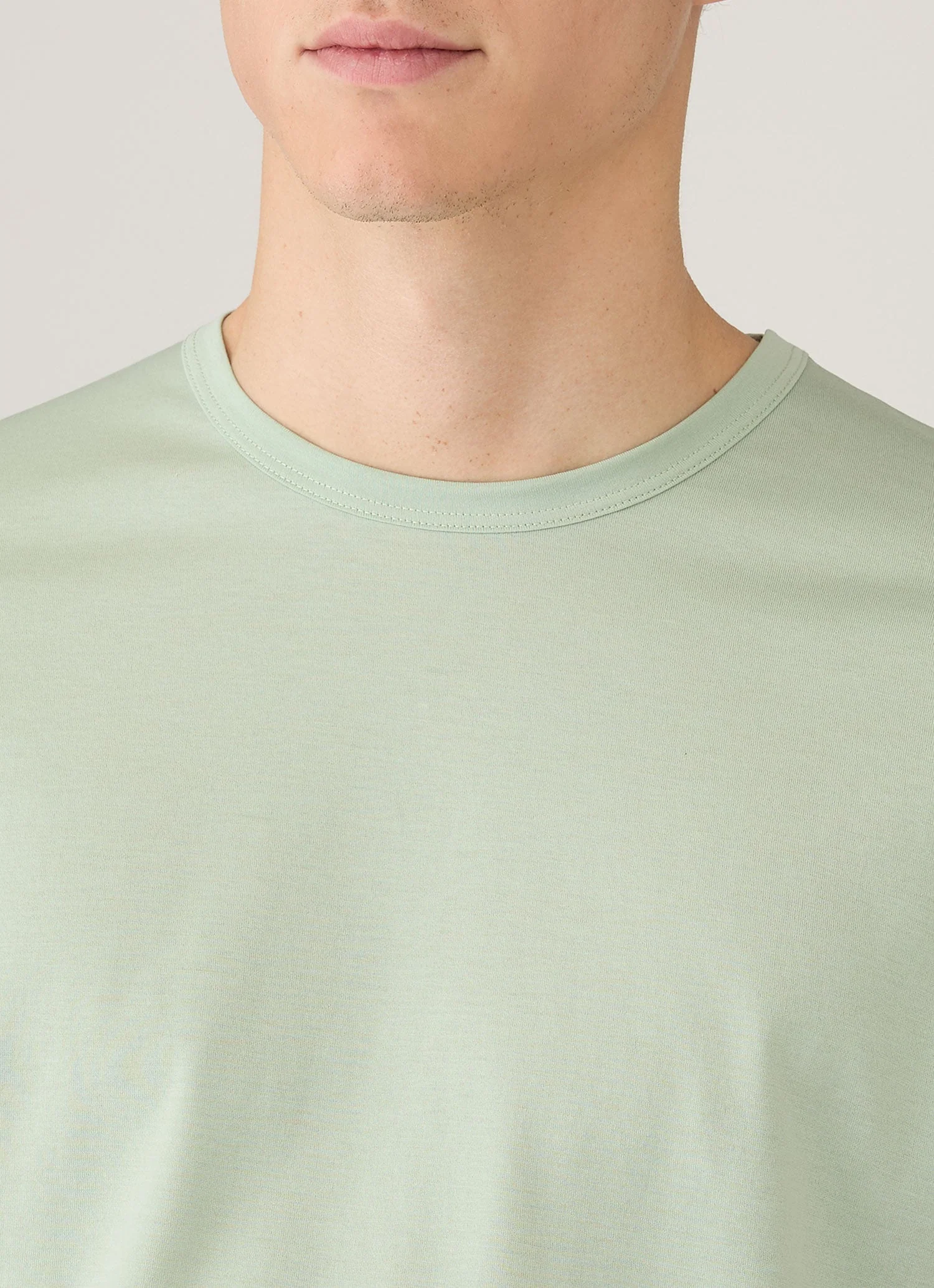 Men's Classic T-shirt in Laurel - Image 6