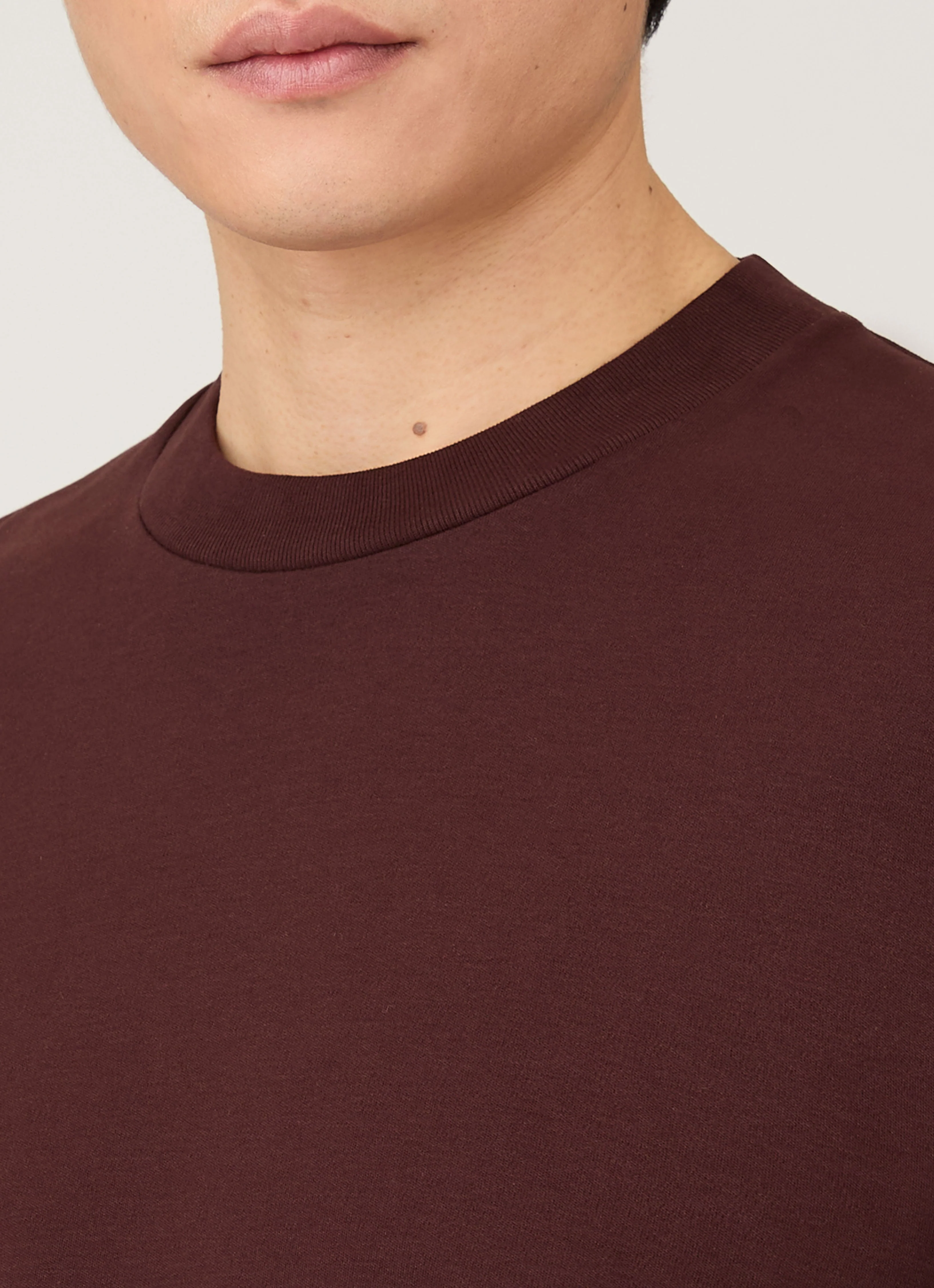 Men's Relaxed Fit Heavyweight T-shirt in Bakelite - Image 6